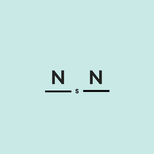 NsNCo logo